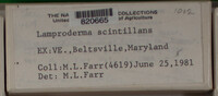 Image Associated With the Occurence